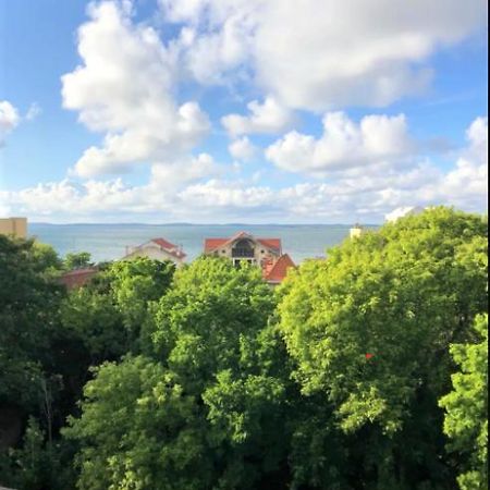 Appartement vue sur baie et océan, 100 m de la plage et du centre par chemin privé Arcachón Exterior foto