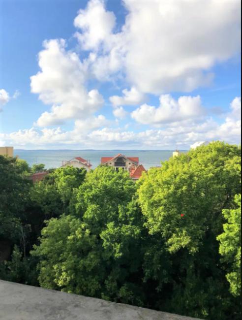 Appartement vue sur baie et océan, 100 m de la plage et du centre par chemin privé Arcachón Exterior foto